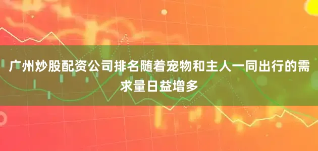 广州炒股配资公司排名随着宠物和主人一同出行的需求量日益增多