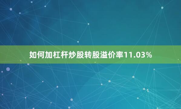 如何加杠杆炒股转股溢价率11.03%