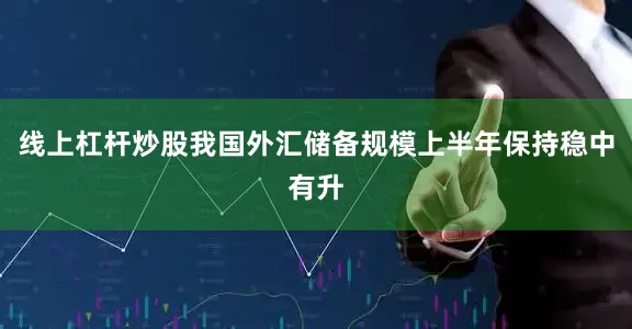 线上杠杆炒股我国外汇储备规模上半年保持稳中有升