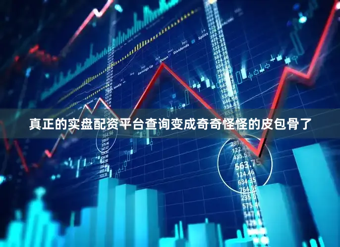 真正的实盘配资平台查询变成奇奇怪怪的皮包骨了